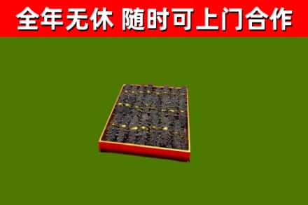 如东县回收海参